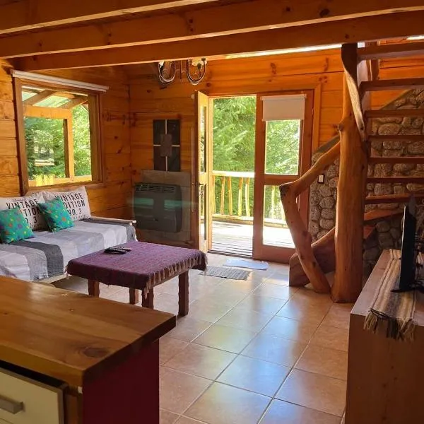 Natur Haus, hotel v destinaci Villa Traful