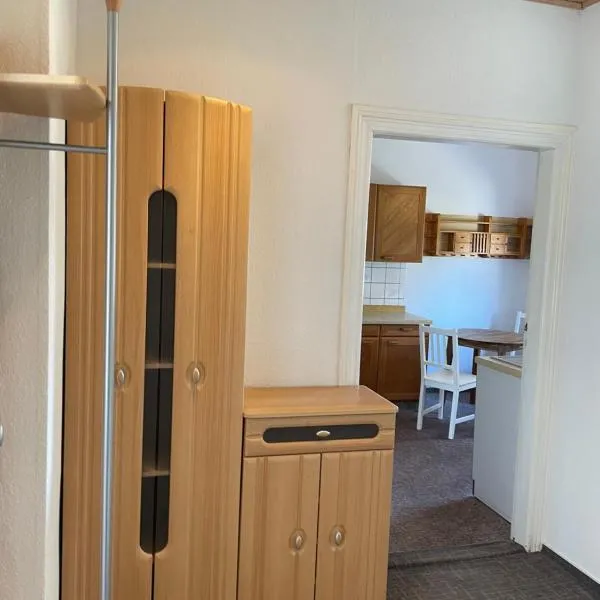 Gemütliche Wohnung, מלון במגדבורג