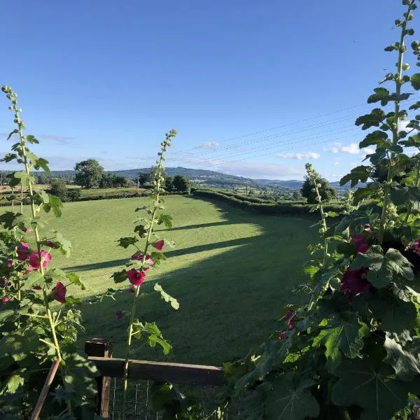 Betula Views Studio, hotel en Much Marcle