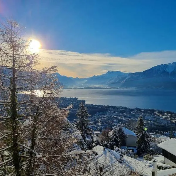 Le toit de Chardonne - Entre Alpes et lac Léman, hotel in Chardonne