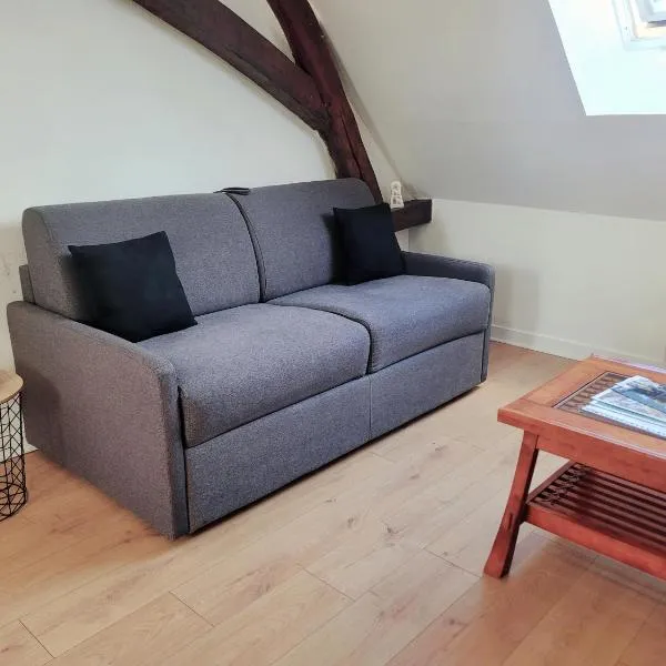 Appartement au centre ville de Sens – hotel w mieście Villebougis