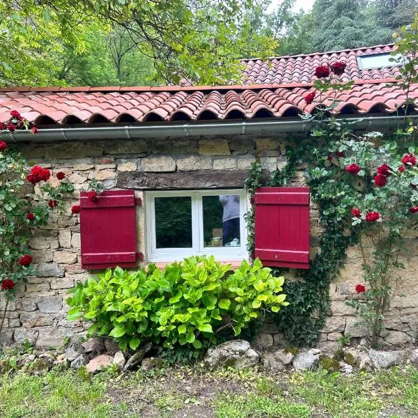 Chambre en bordure d'Aveyron, hotel en Saint-Antonin