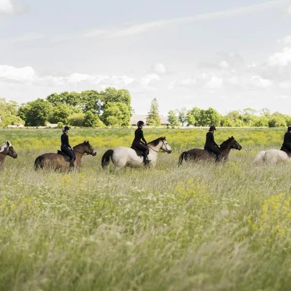 Viesnīca Tihuse Horsefarm B&B pilsētā Liiva