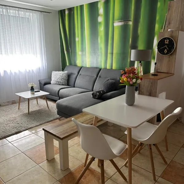 Víztorony apartman, hotell i Kárász