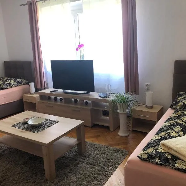 Apartmán v Týně nad Vltavou, hotel en Týn nad Vltavou