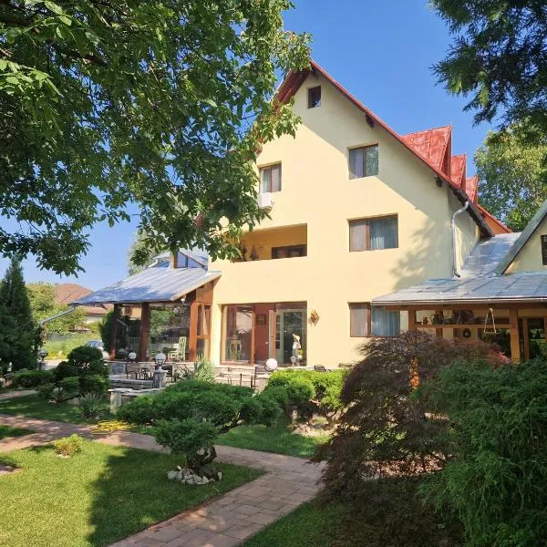 CASA IANUȘ, hotel in Breaza