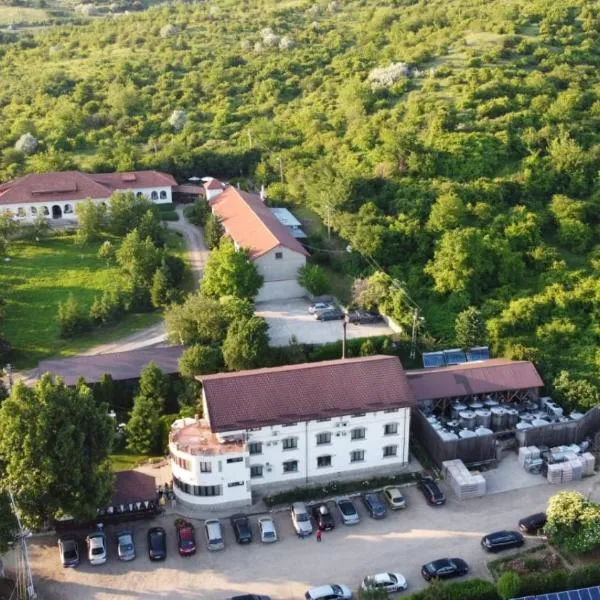 Casa Colinelor, hotel in Tohani