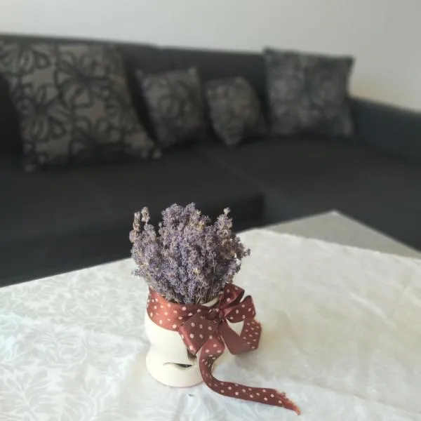 Sweet Home Appartman – hotel w mieście Kazincbarcika