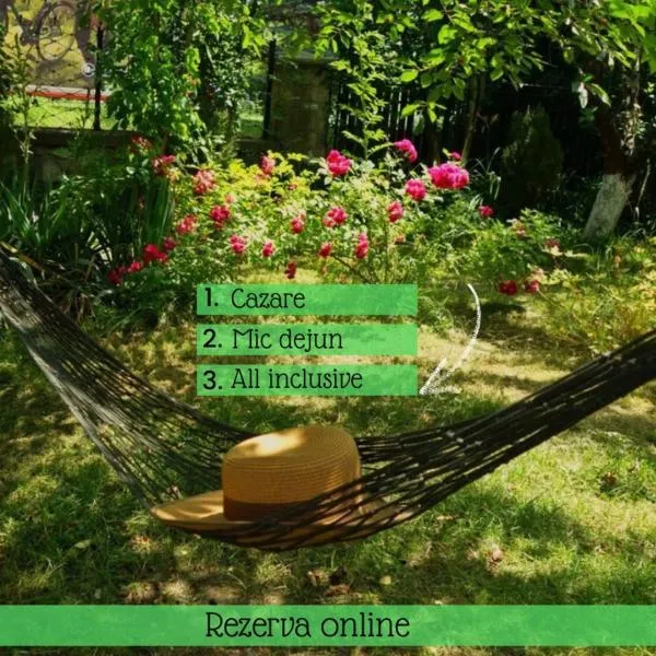 Pensiunea Deceneu, hotel v destinaci Slănic