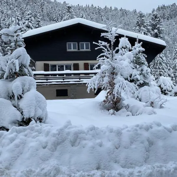 CHALET DES HAUTS SAPINS LA BRESSE, hotell sihtkohas La Bresse