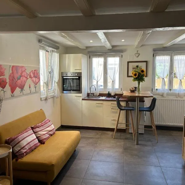 Gîtes De La Bonne Etoile, hotel a Geispolsheim