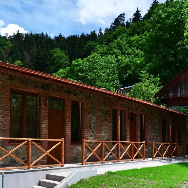 Borjomi Cottages, hotel v destinaci Bordžomi