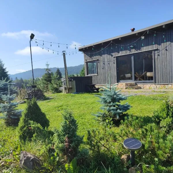 Panoramic Cabin Stânceni、Ciobotaniのホテル