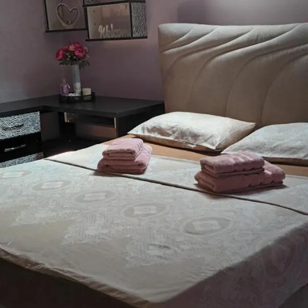 Apartman Gaga, Hotel in Pirot