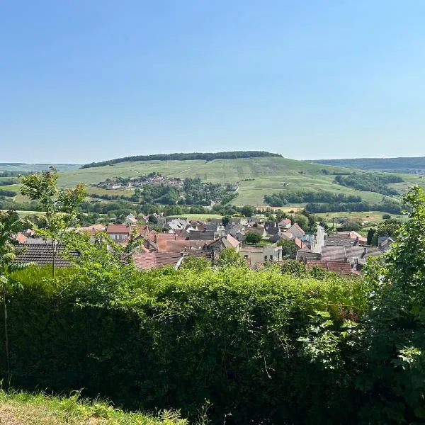 CHEZ BRIGITTE, отель в городе Châtillon-sur-Marne