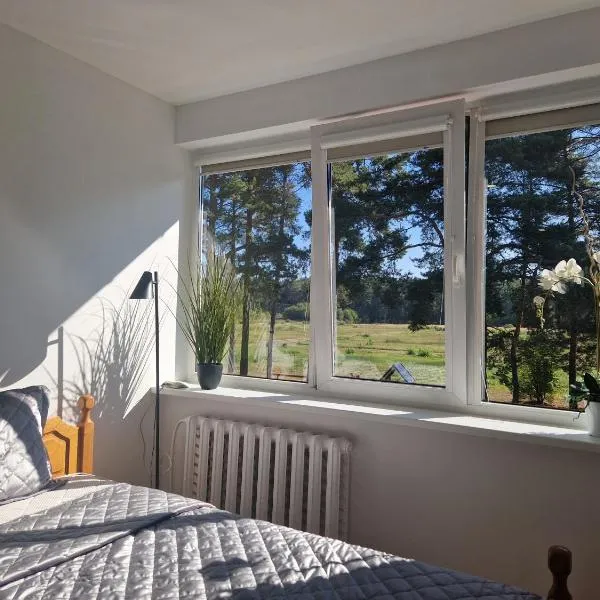 Duplex Apartment Vilte, hotel in Druskininkai
