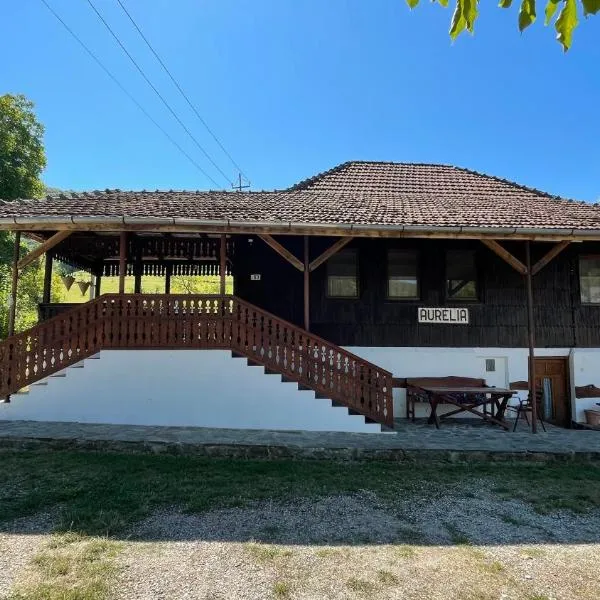 Casa Aurelia, hotel em Chişcău