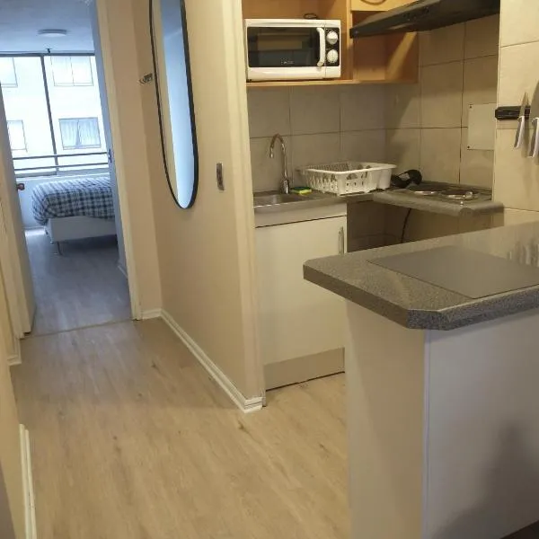 Departamento Barrio Bellas Artes, hotel in Santiago