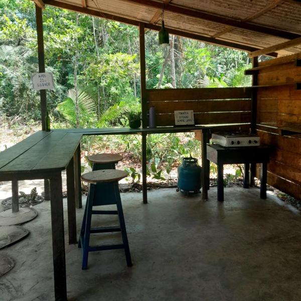 Caminho das pedras-Medicina, Consciência e espiritualidade- Hospedaria na floresta com saída ao Igarapé - Foto 4