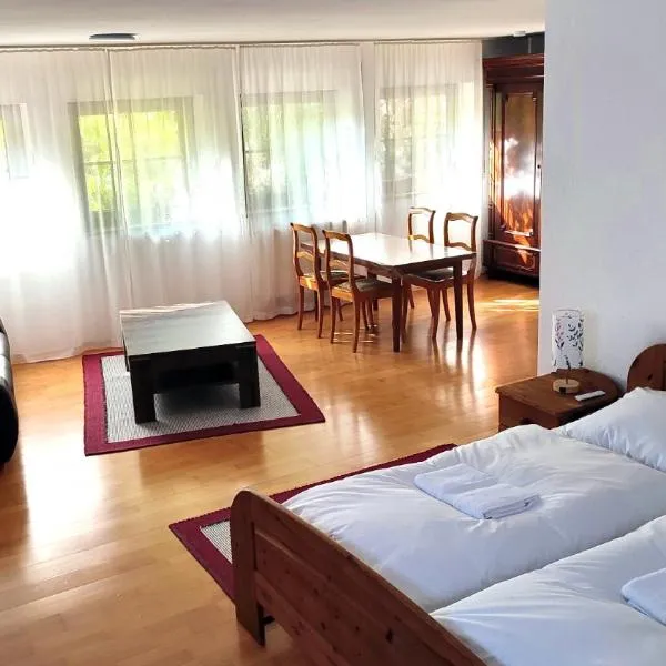 Ferienwohnung Ruhequell, viešbutis mieste Švarcvaldo Kėnigsfeldas