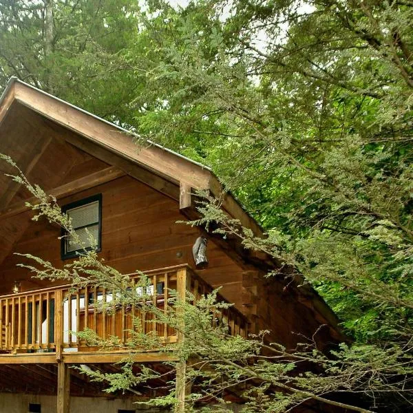 Wild Thing #1525, ξενοδοχείο σε Gatlinburg