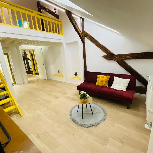 Loft in 1902 Art-Nouveau Villa, hotel in Oradea