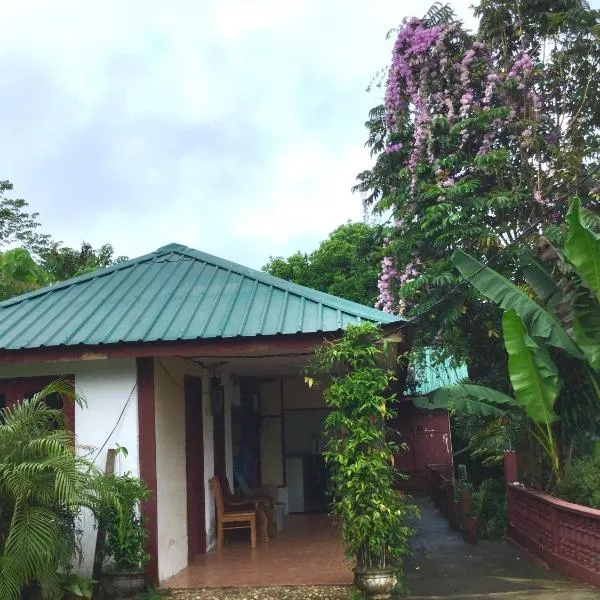 D view hill hotel, hotel in Kuala Tahan