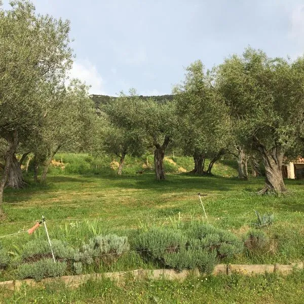 Le Camping de Cucugnan, hotel v destinaci Cucugnan