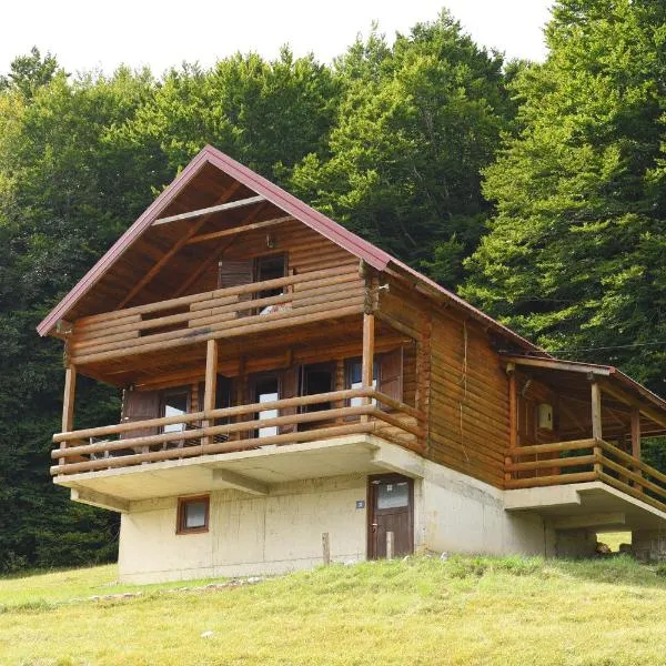 Villa Forestside, hotel v destinaci Plužine