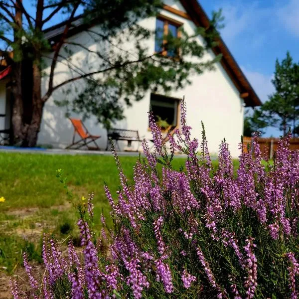 Borsk Sielanka, hotel di Borsk