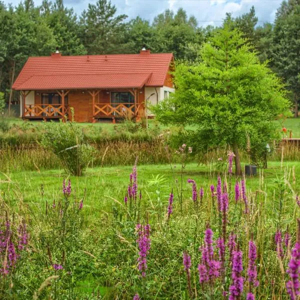 Viesnīca Rentynówka pilsētā Getšvalde