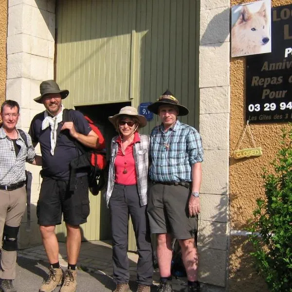 Aux 3 Loups: Châtenois şehrinde bir otel