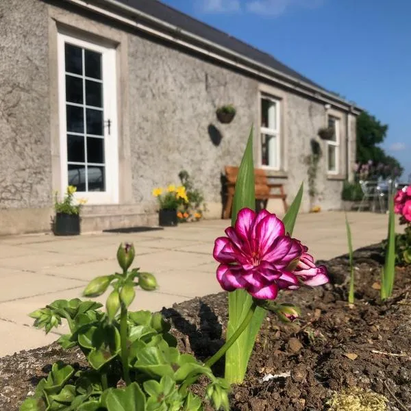 Ballyconnelly Cottages, Galgorm area, hotel di Cullybackey