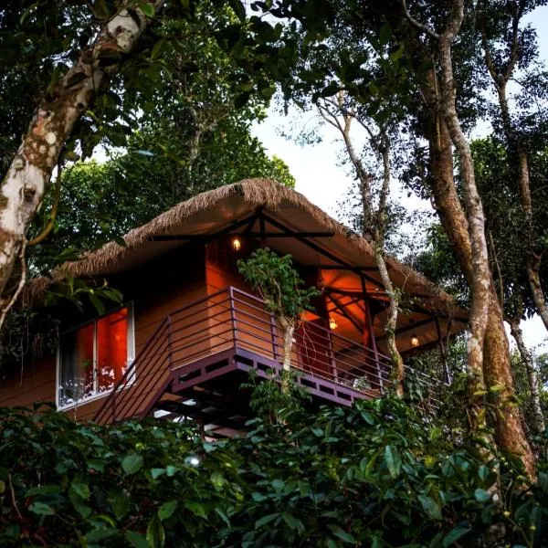 Coffee Cradle Wayanad Luxuorios Private Tree House - Inside 2 Acre Coffee Plantation, hotell i Chekadi