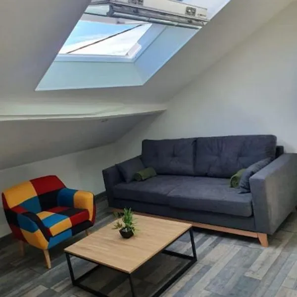 App 2 ch, spacieux et lumineux, hôtel à Limoges