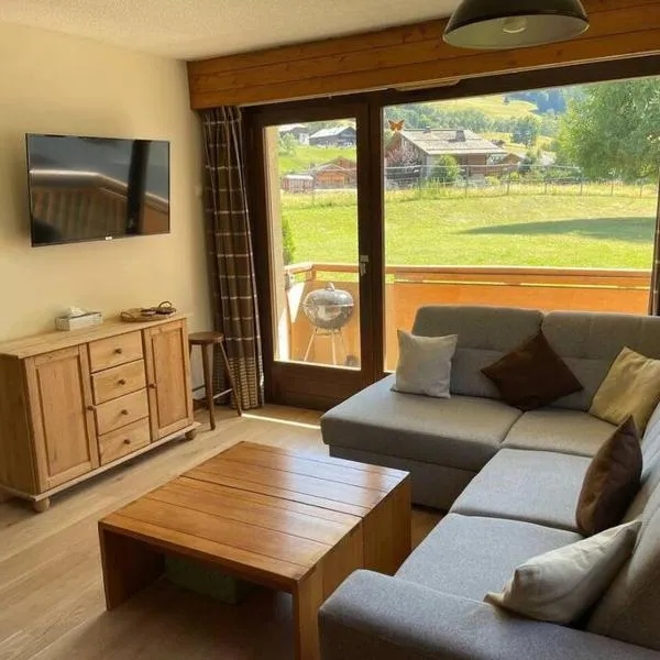 Charming Bright Spacious Village Walk to lift Hike, hotel in Praz-sur-Arly