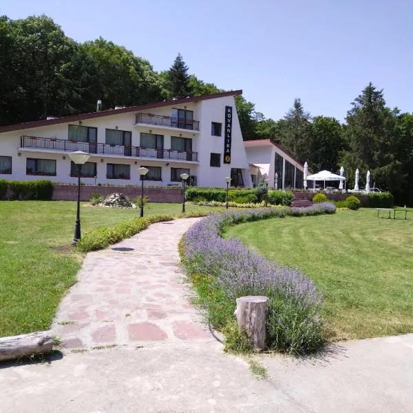 Hotel Kovanlika 2, hotel in Lomtsi