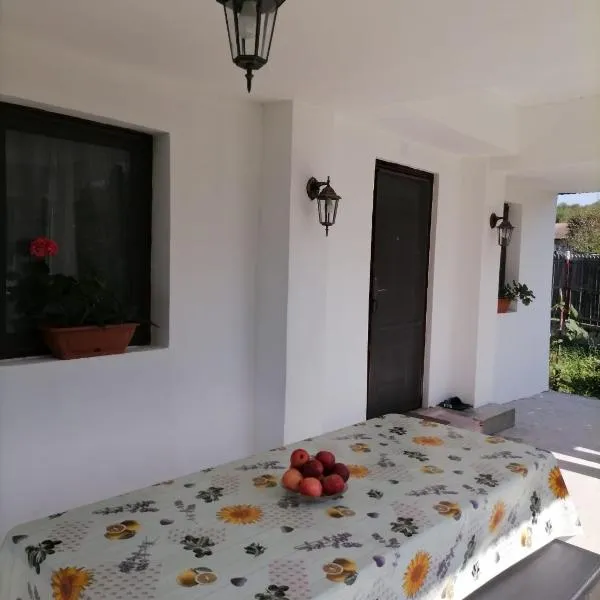 Casa Michel, hotel v destinaci Măciuceni