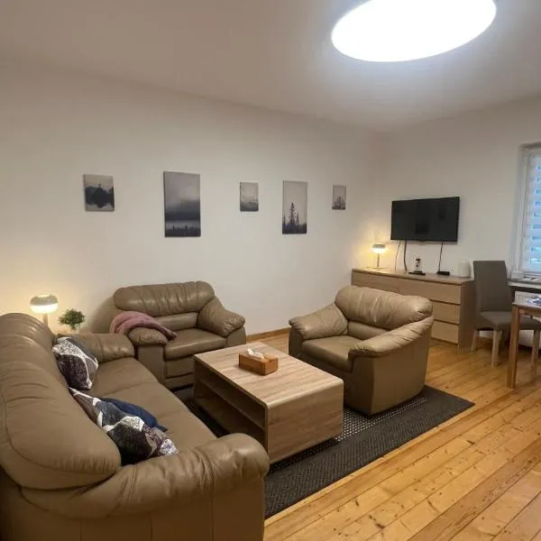 Erdgeschoss Apartment am Park im Theaterviertel in Oberhausen, viešbutis mieste Oberhauzenas