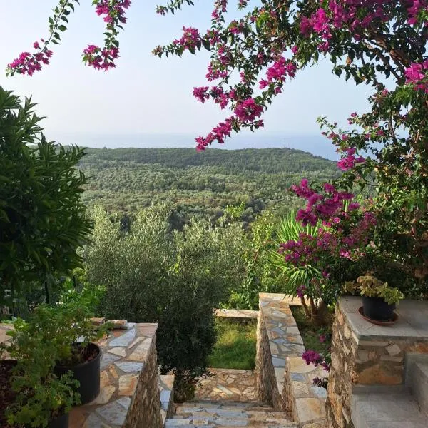 Vila Tatjana, hotel v destinaci Vuno
