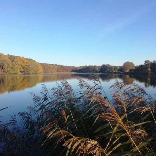 Warthe - Mitten in der Natur, hotel en Warthe