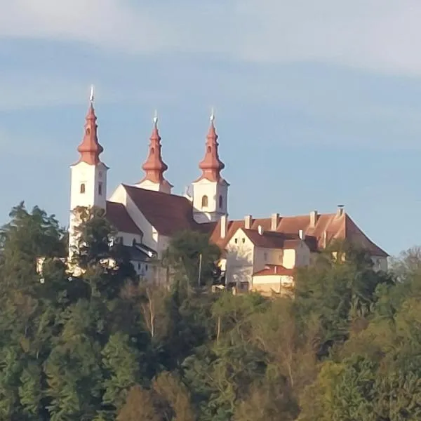 Prenočišča in Apartma ČERNOŠA, hotel u gradu 'Benedikt v Slovenskih Goricah'
