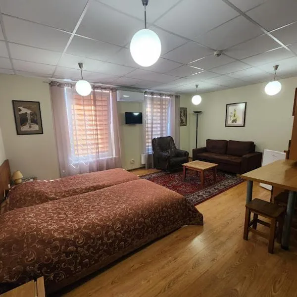 Solo studio, hotel in Birštonas