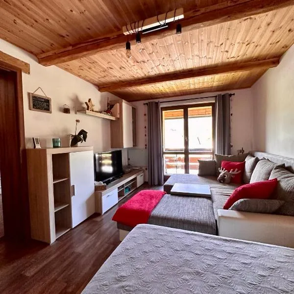 Apartmán s výhledem na Jezerní stěnu, hotel v destinaci Železná Ruda