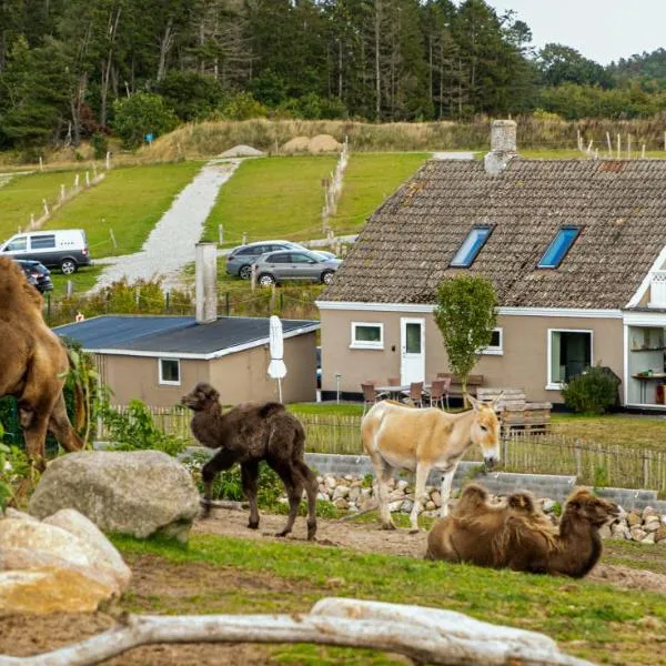 Ree Park Safari, hotel v destinaci Ebeltoft