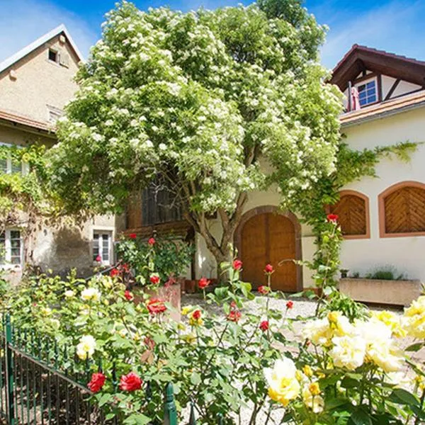 Ferienwohnungen Altes Rathaus, hôtel à Vogtsburg im Kaiserstuhl