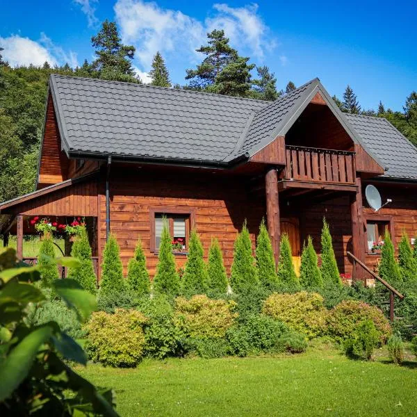 Stacja Żubracze, hotel in Maniów