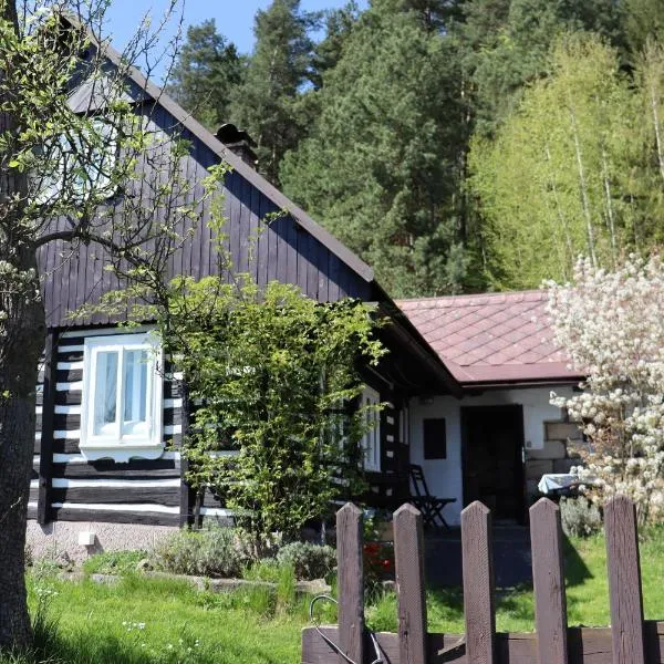 Ubytování Roubenka, hotel en Koberovy