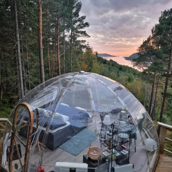 Sørfjorden Eye Iglo - Fosen, hotel v destinaci Husby