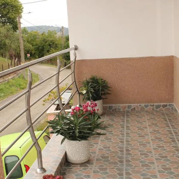 Casa Dănuț, hotel u gradu Rešica